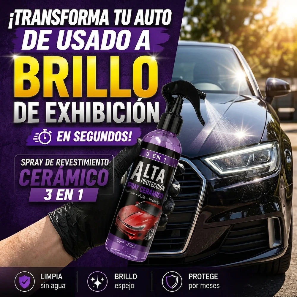 Protector De Pintura 3 En 1 Cera Spray 100 Ml